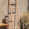 Natural Ladder Natural