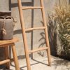 Natural Ladder Natural