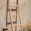 Natural Ladder Natural
