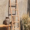 Natural Ladder Natural