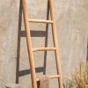 Natural Ladder Natural