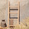 Natural Ladder Natural