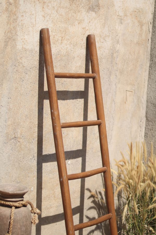 Natural Ladder Recycle Teak