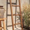 Natural Ladder Recycle Teak