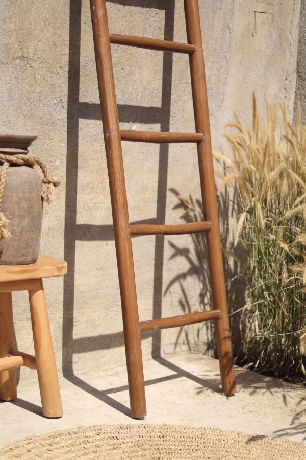 Natural Ladder Recycle Teak