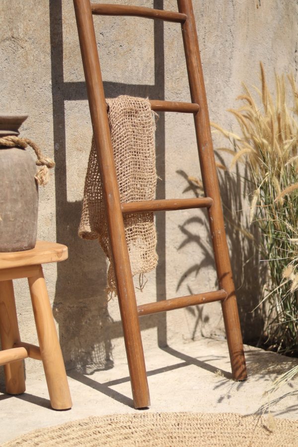 Natural Ladder Recycle Teak