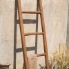 Natural Ladder Recycle Teak