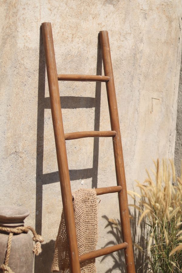 Natural Ladder Recycle Teak
