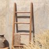 Natural Ladder Recycle Teak