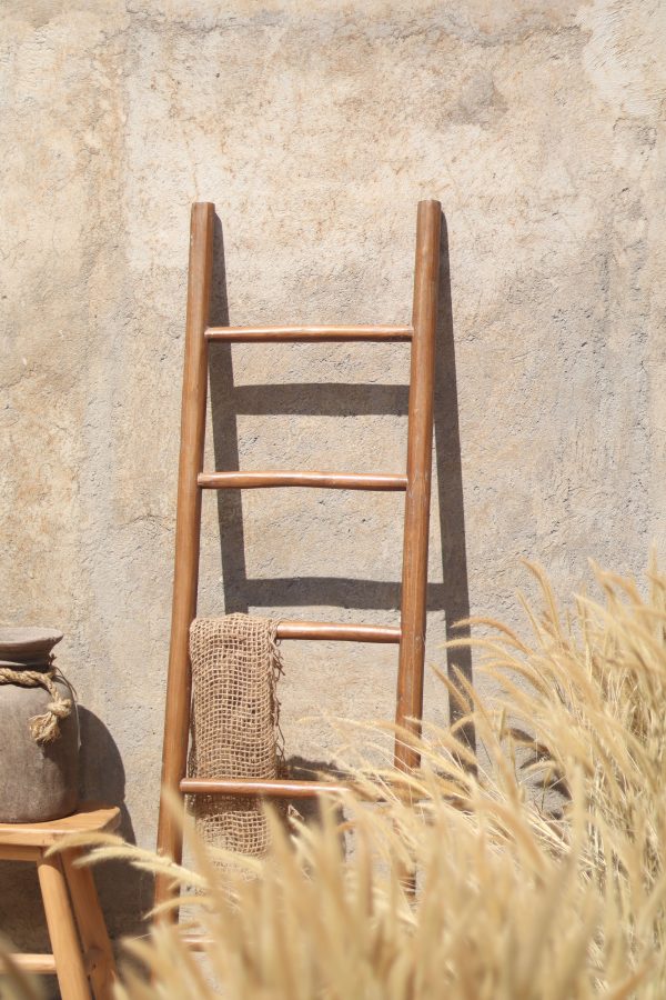 Natural Ladder Recycle Teak